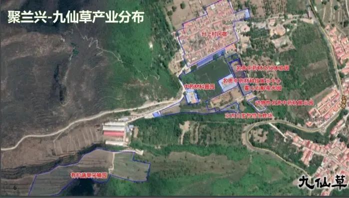 U乐国际(中国区)集团